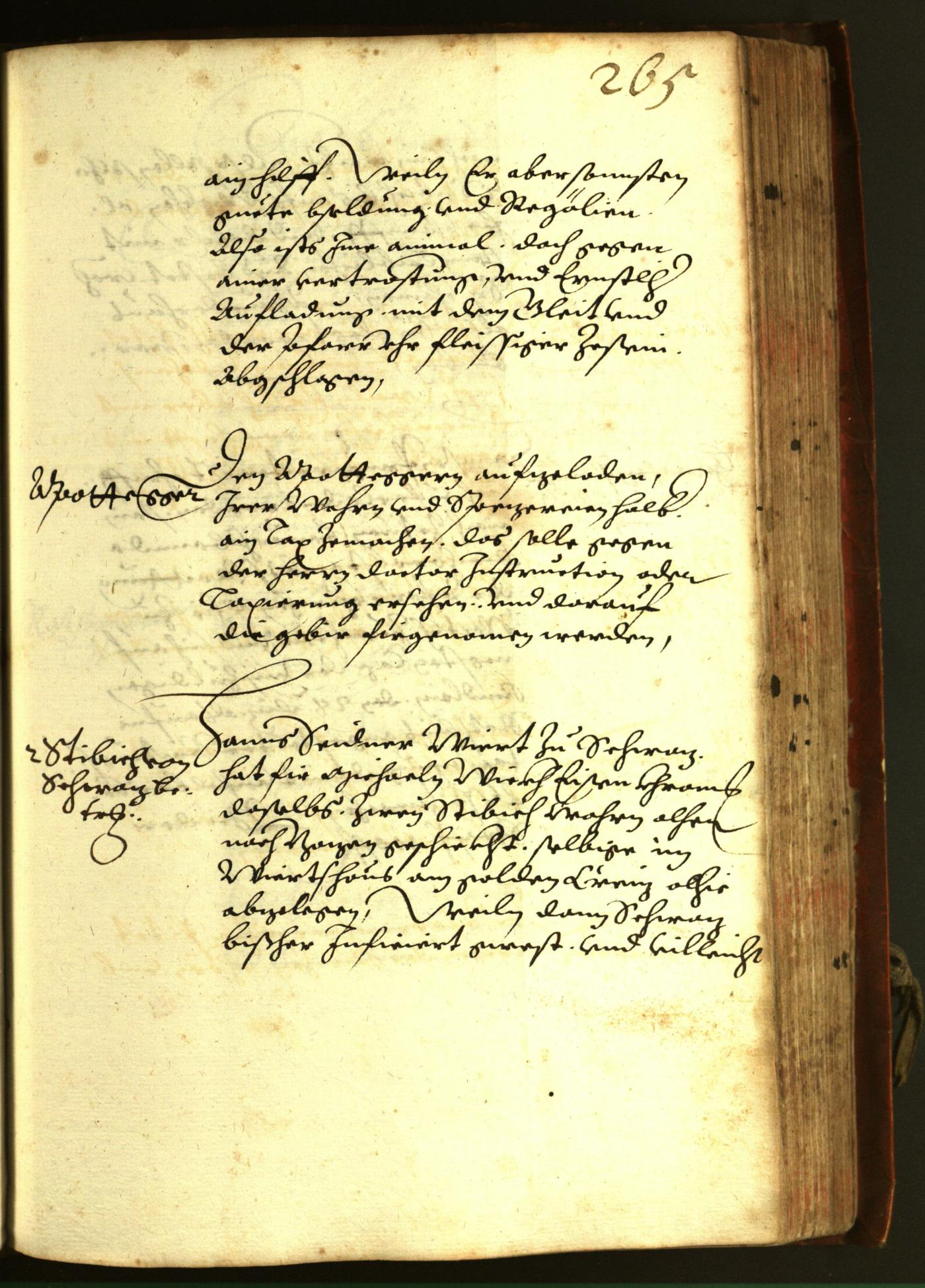 Stadtarchiv Bozen - BOhisto Ratsprotokoll 1611 