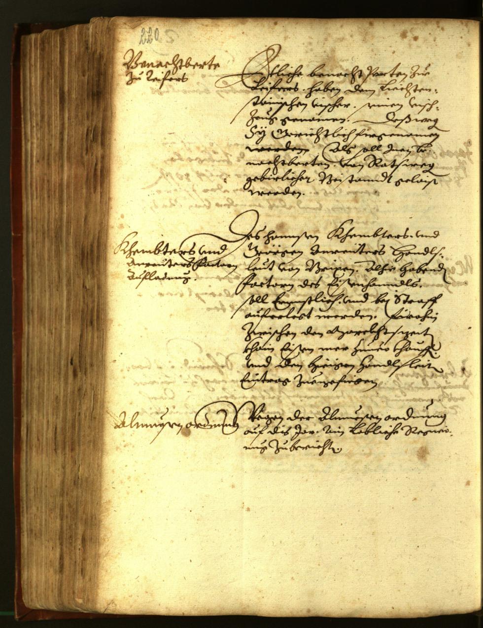 Stadtarchiv Bozen - BOhisto Ratsprotokoll 1611 