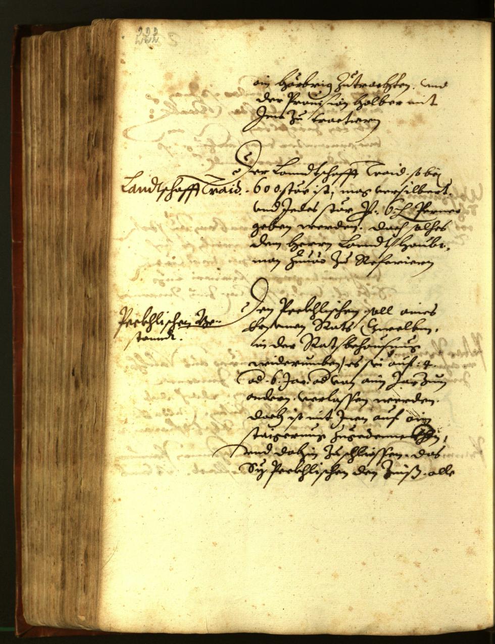 Stadtarchiv Bozen - BOhisto Ratsprotokoll 1611 