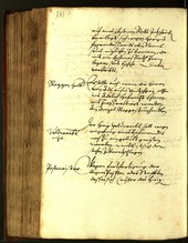 Civic Archives of Bozen-Bolzano - BOhisto Minutes of the council 1611 - 