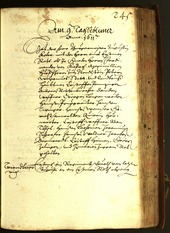 Archivio Storico della Città di Bolzano - BOhisto protocollo consiliare 1611 - 