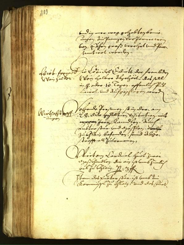 Stadtarchiv Bozen - BOhisto Ratsprotokoll 1613 