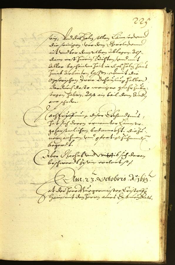 Civic Archives of Bozen-Bolzano - BOhisto Minutes of the council 1613 