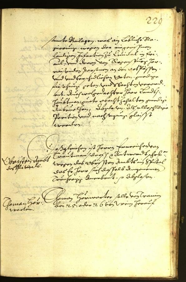 Civic Archives of Bozen-Bolzano - BOhisto Minutes of the council 1613 