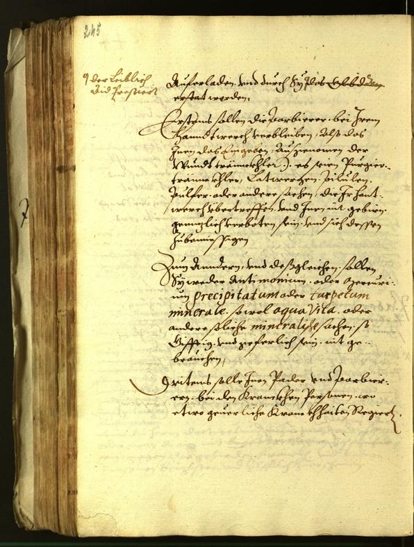 Stadtarchiv Bozen - BOhisto Ratsprotokoll 1613 