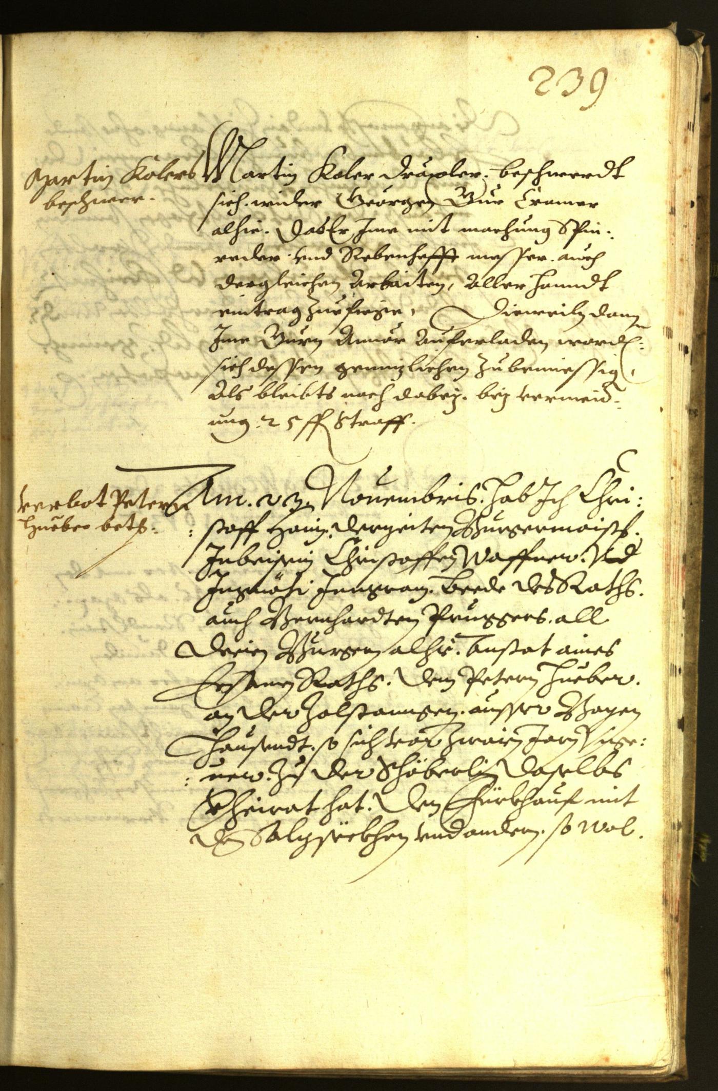 Stadtarchiv Bozen - BOhisto Ratsprotokoll 1613 