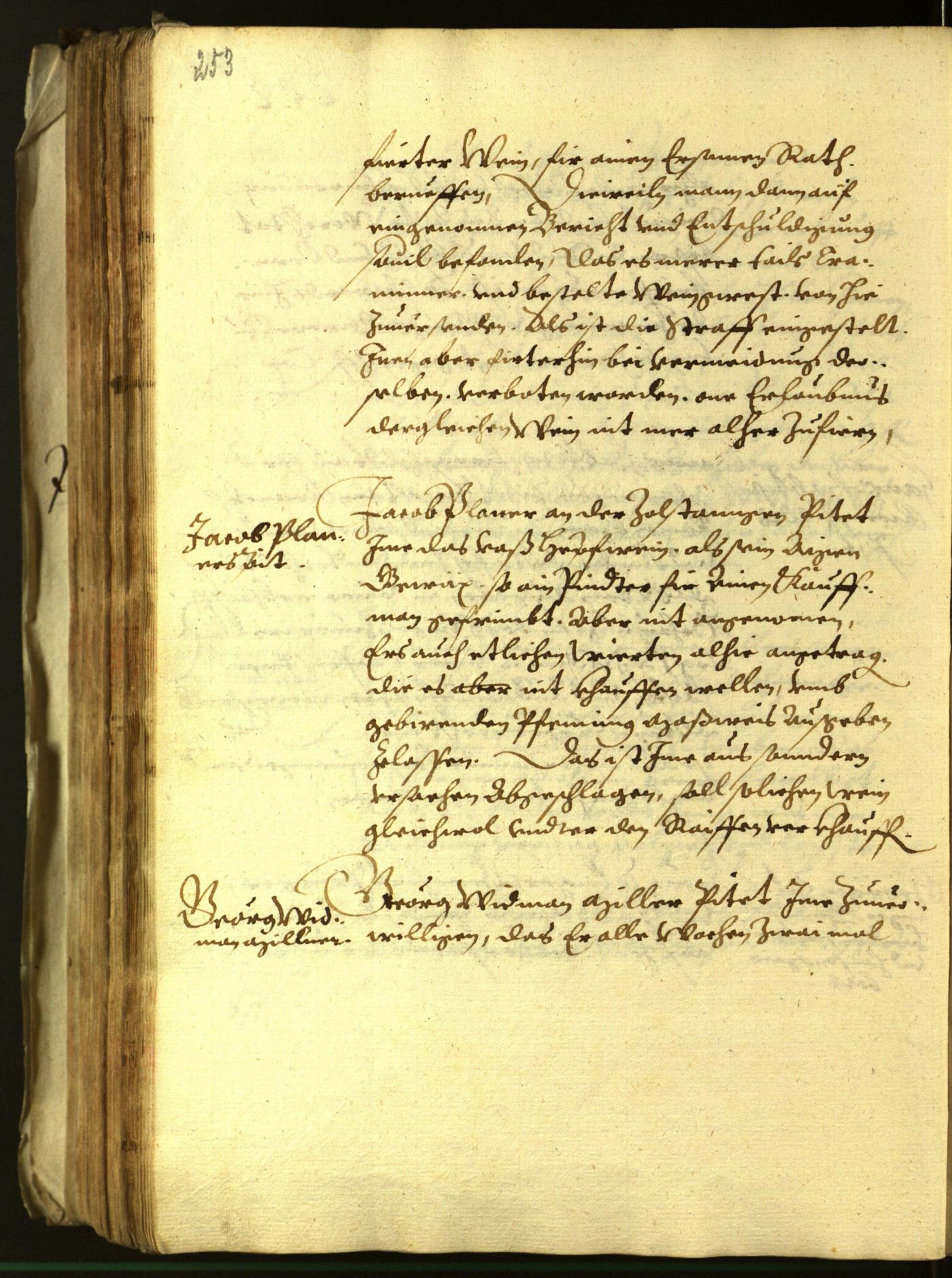 Stadtarchiv Bozen - BOhisto Ratsprotokoll 1613 