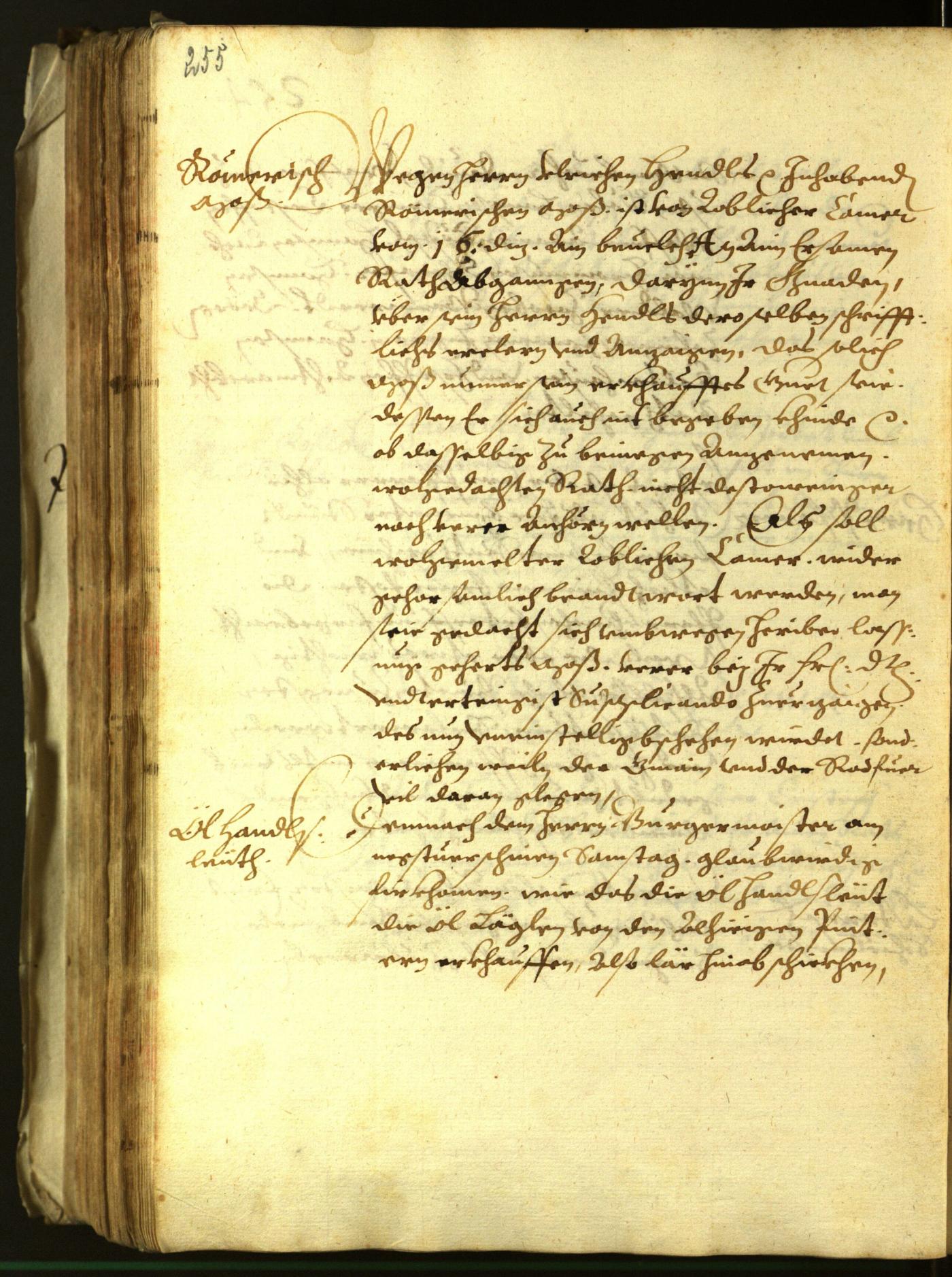 Civic Archives of Bozen-Bolzano - BOhisto Minutes of the council 1613 