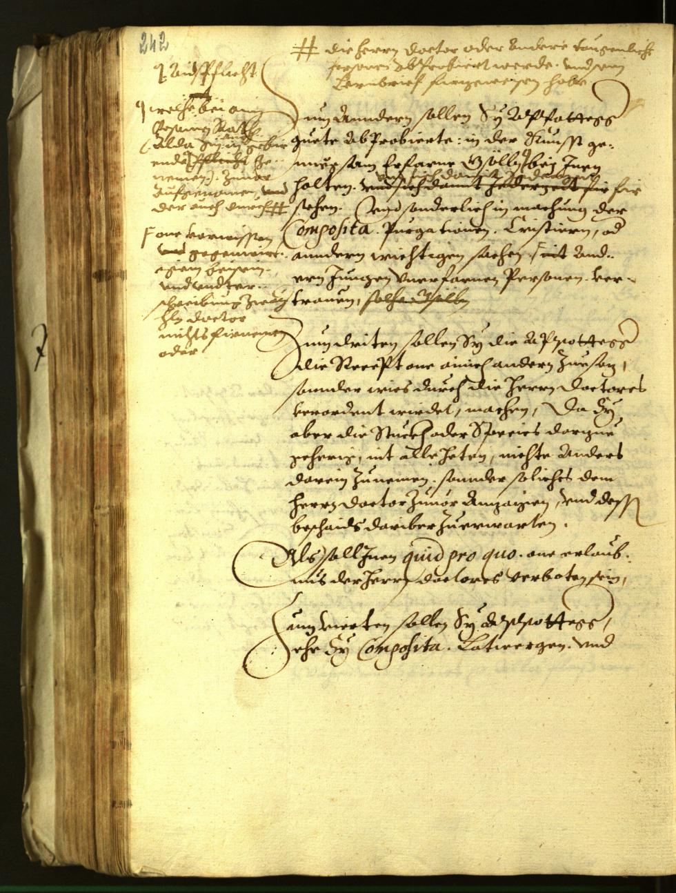 Stadtarchiv Bozen - BOhisto Ratsprotokoll 1613 