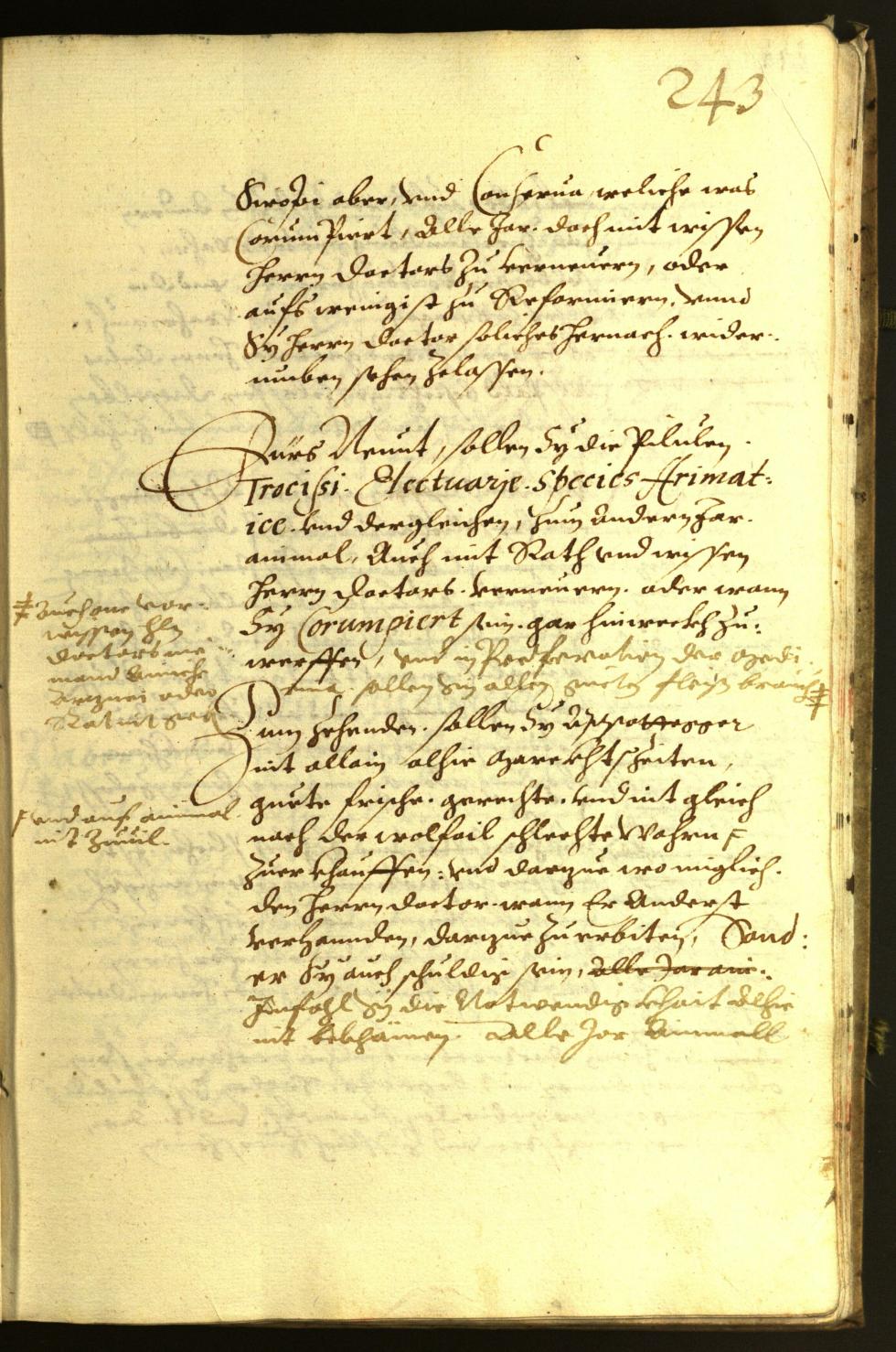 Civic Archives of Bozen-Bolzano - BOhisto Minutes of the council 1613 