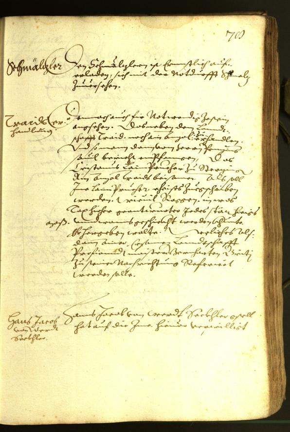 Stadtarchiv Bozen - BOhisto Ratsprotokoll 1614 