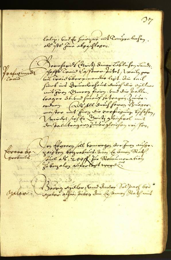 Stadtarchiv Bozen - BOhisto Ratsprotokoll 1614 