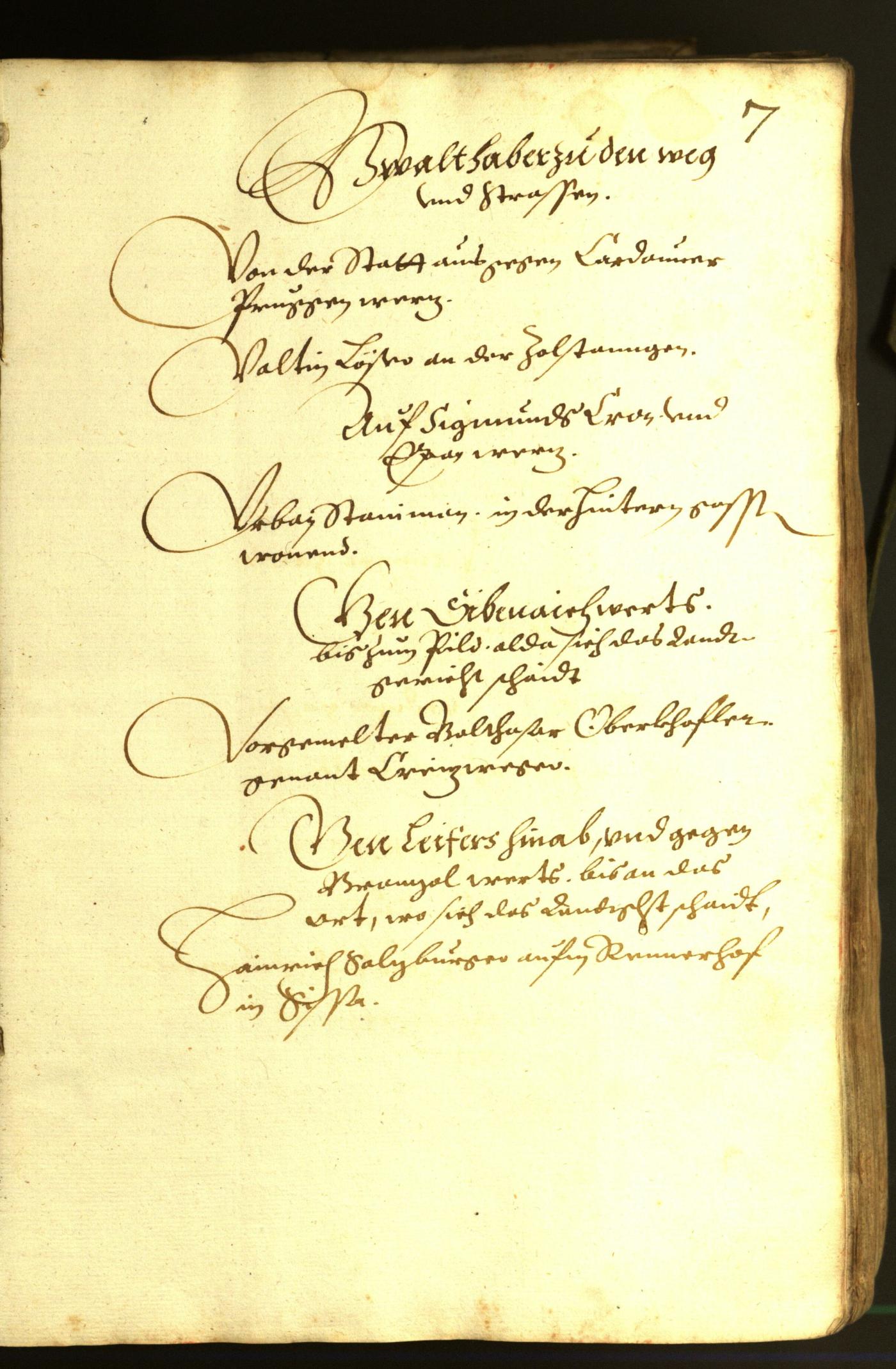 Stadtarchiv Bozen - BOhisto Ratsprotokoll 1614 