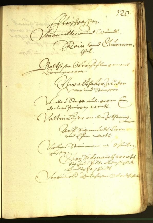 Civic Archives of Bozen-Bolzano - BOhisto Minutes of the council 1615 