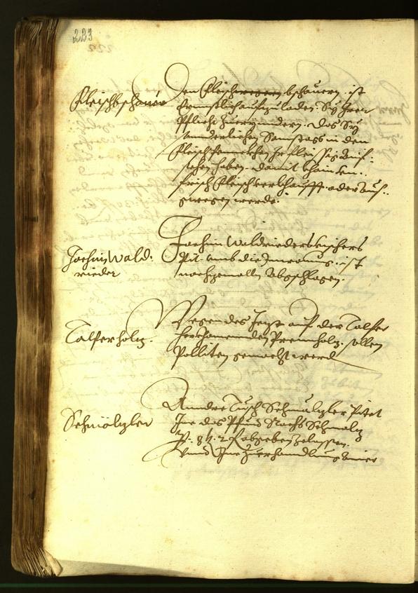 Civic Archives of Bozen-Bolzano - BOhisto Minutes of the council 1615 