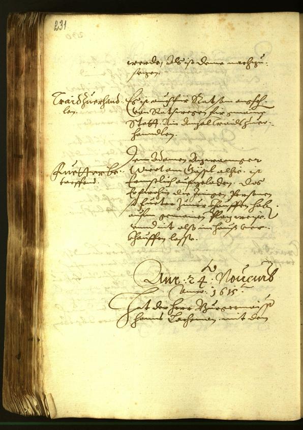 Stadtarchiv Bozen - BOhisto Ratsprotokoll 1615 