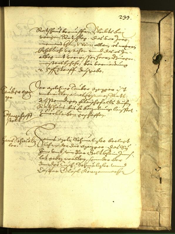 Civic Archives of Bozen-Bolzano - BOhisto Minutes of the council 1615 