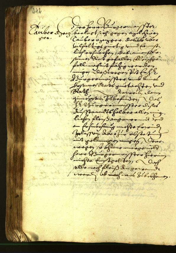 Civic Archives of Bozen-Bolzano - BOhisto Minutes of the council 1615 