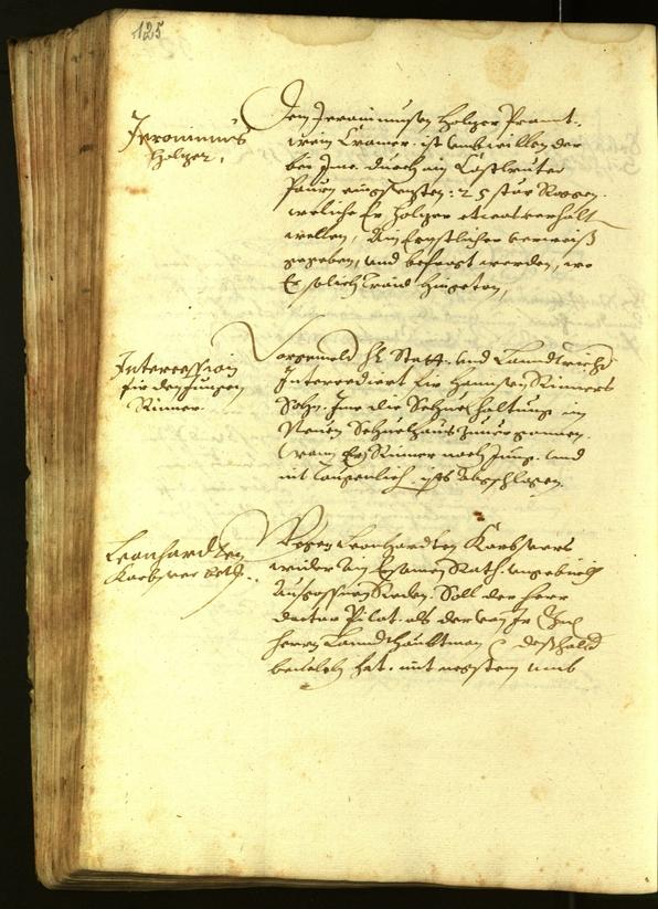 Civic Archives of Bozen-Bolzano - BOhisto Minutes of the council 1615 