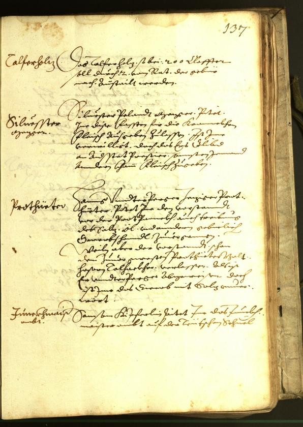 Civic Archives of Bozen-Bolzano - BOhisto Minutes of the council 1615 