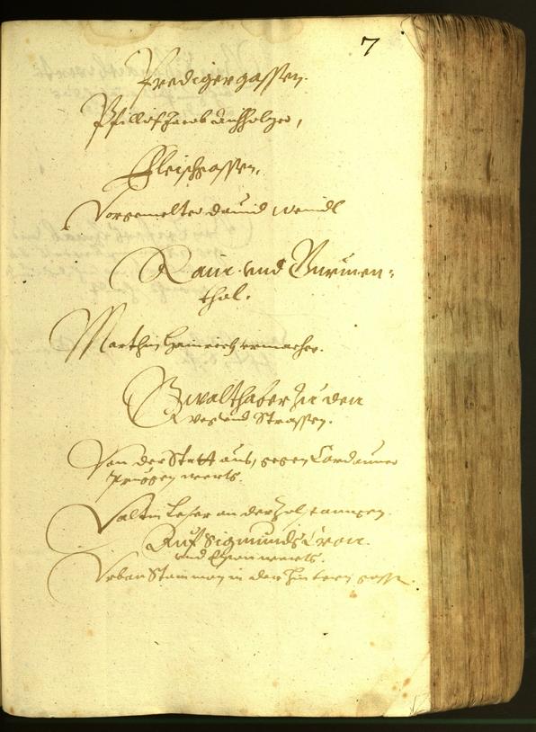 Civic Archives of Bozen-Bolzano - BOhisto Minutes of the council 1616 