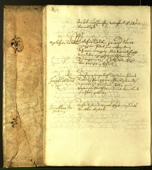 Civic Archives of Bozen-Bolzano - BOhisto Minutes of the council 1616 