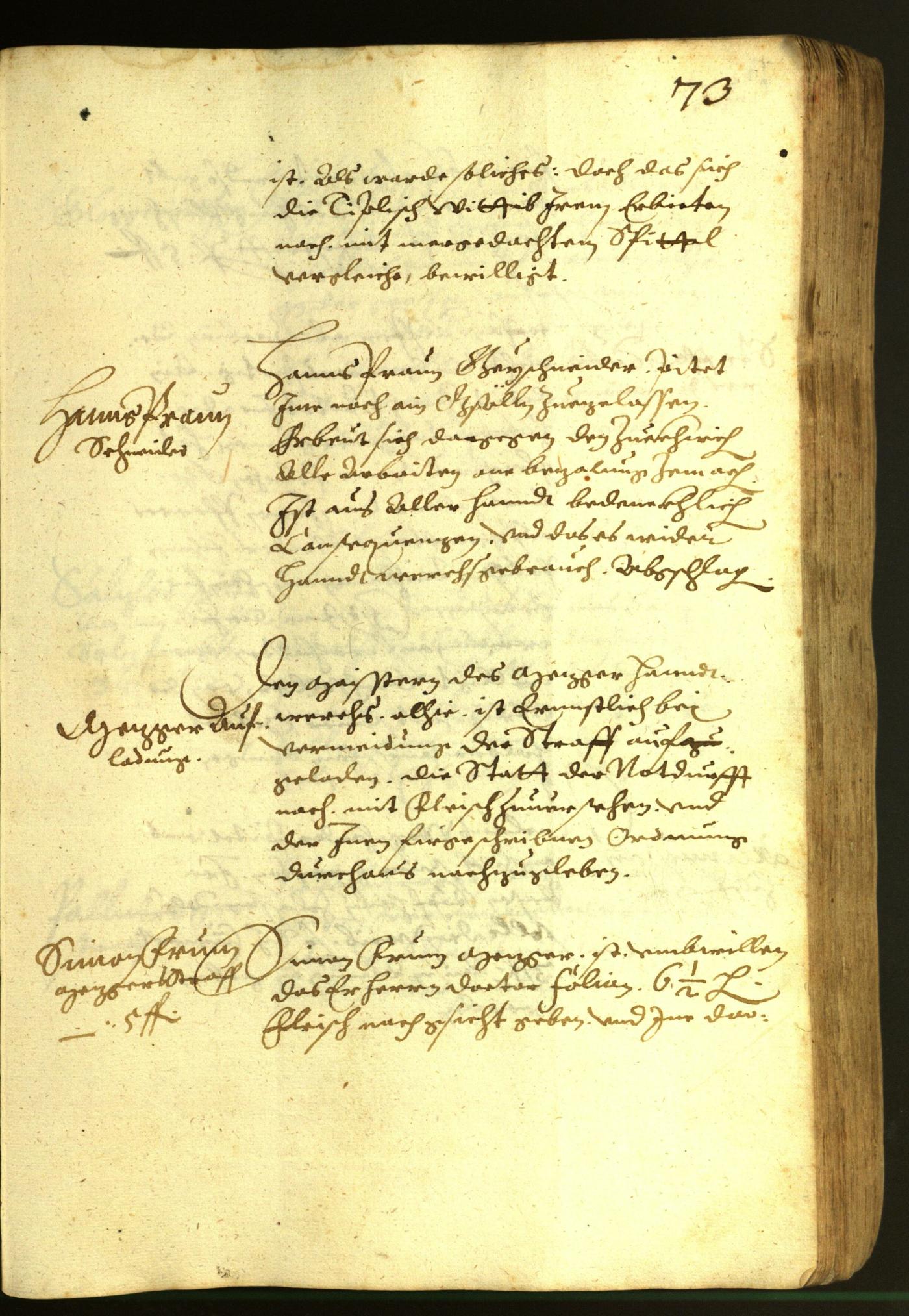 Civic Archives of Bozen-Bolzano - BOhisto Minutes of the council 1616 