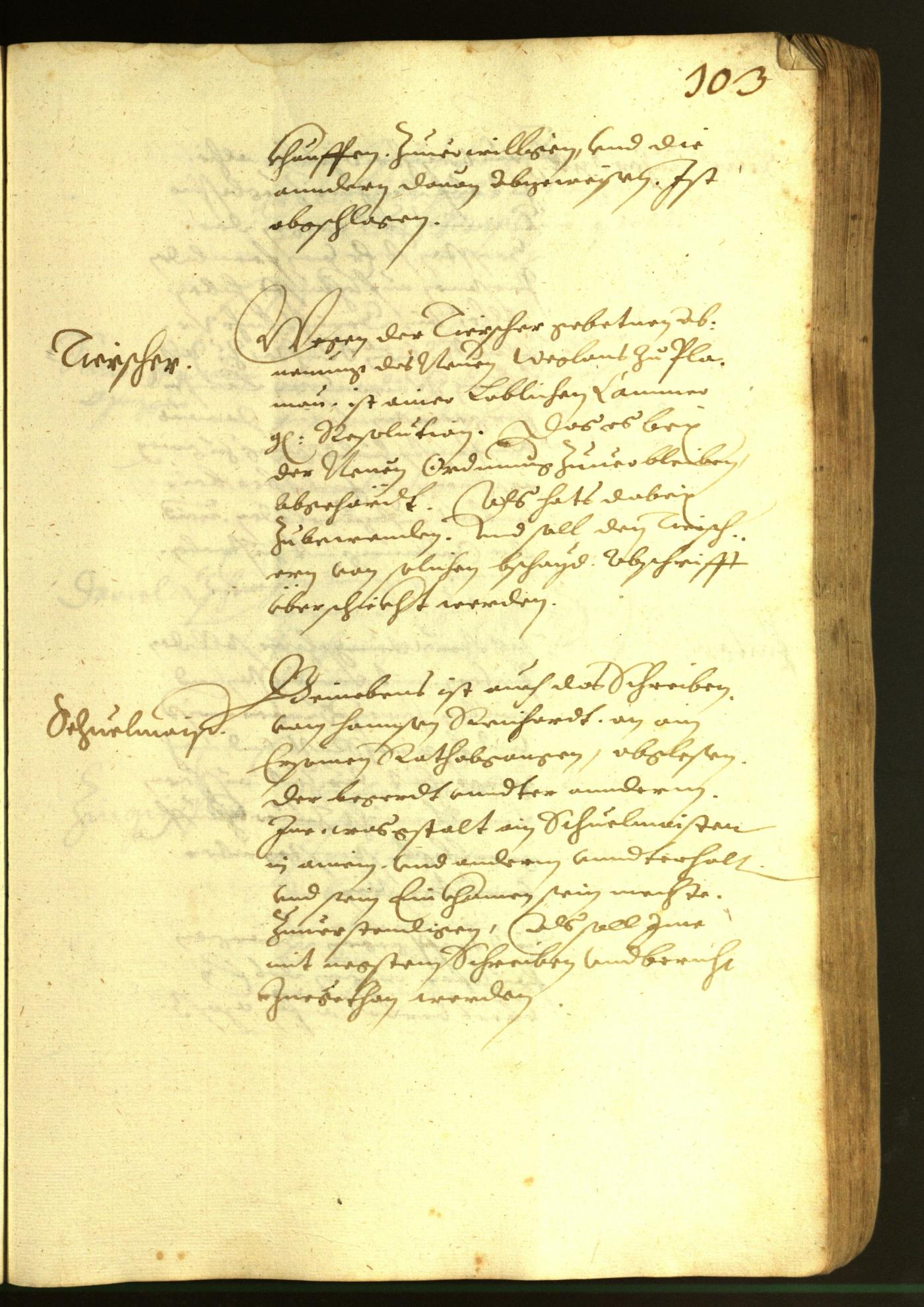 Civic Archives of Bozen-Bolzano - BOhisto Minutes of the council 1616 