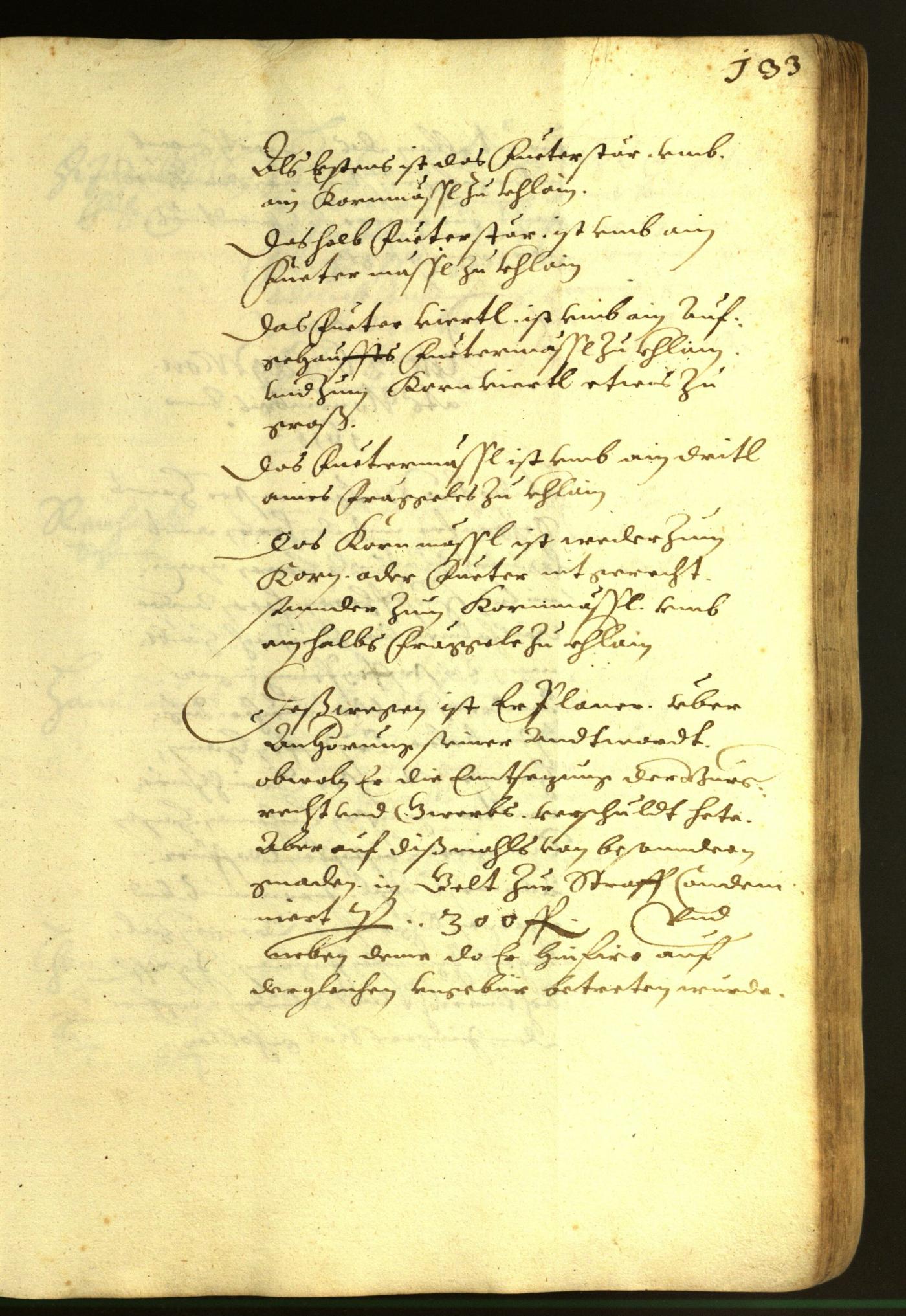 Civic Archives of Bozen-Bolzano - BOhisto Minutes of the council 1616 