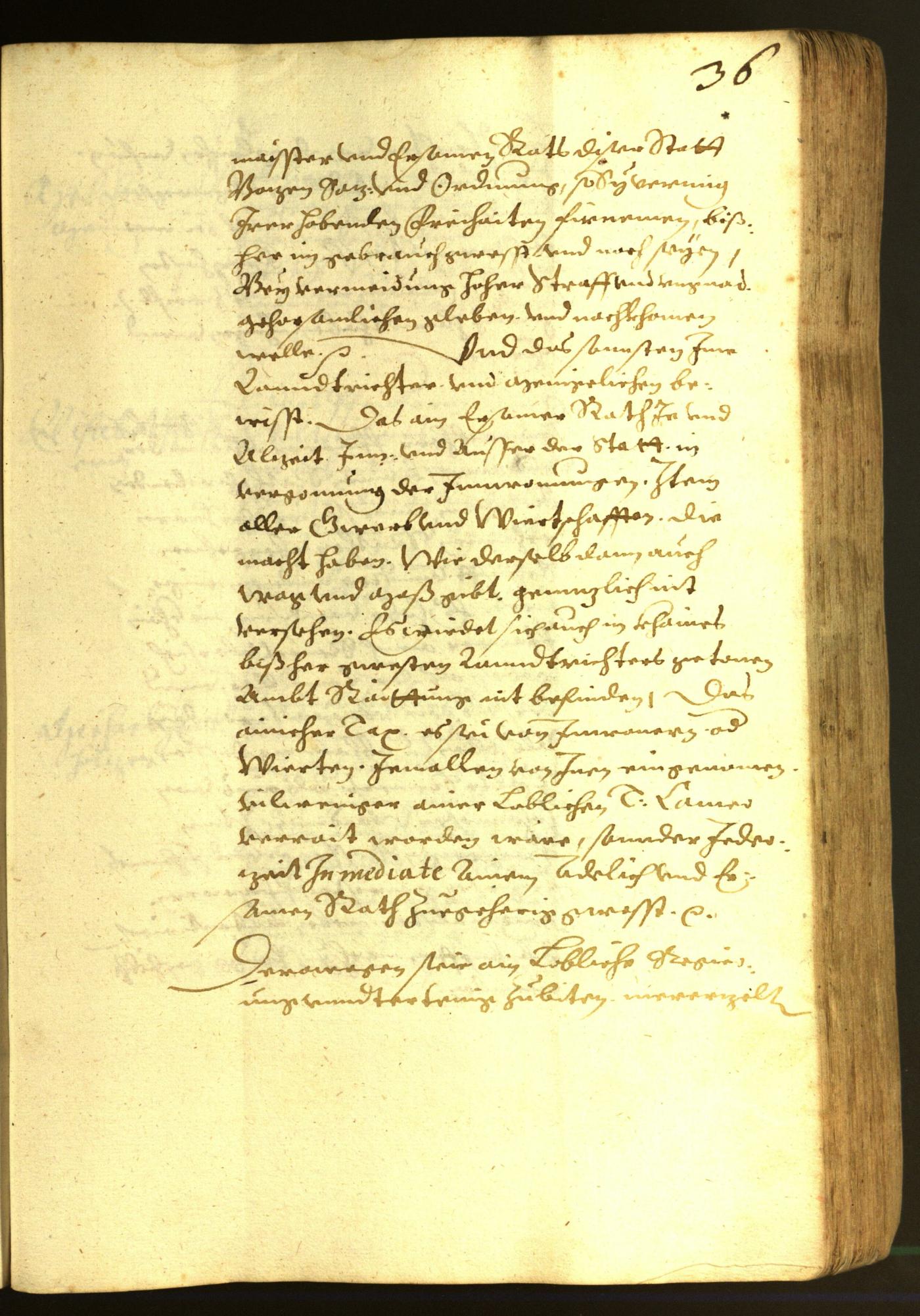 Stadtarchiv Bozen - BOhisto Ratsprotokoll 1616 