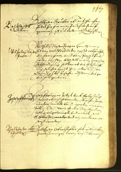 Civic Archives of Bozen-Bolzano - BOhisto Minutes of the council 1616 - 