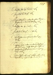 Civic Archives of Bozen-Bolzano - BOhisto Minutes of the council 1616 - 