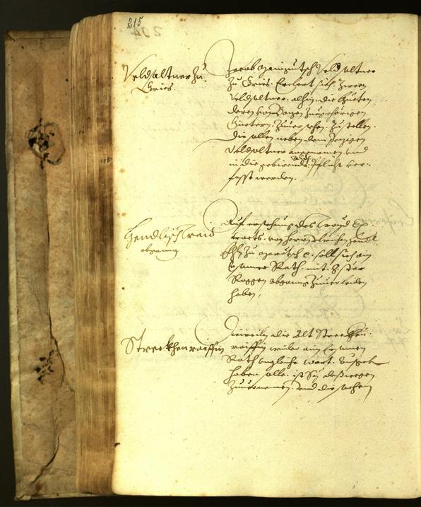 Stadtarchiv Bozen - BOhisto Ratsprotokoll 1617 