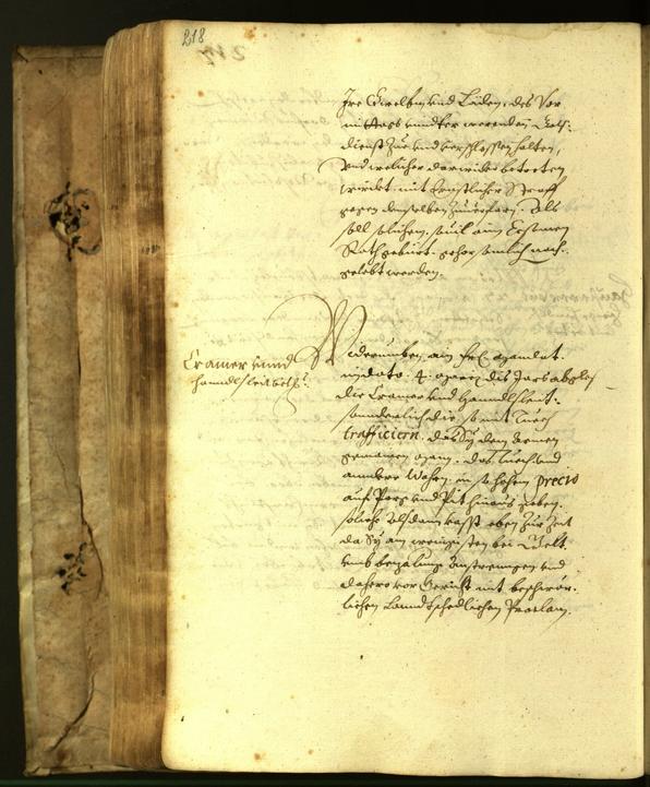 Stadtarchiv Bozen - BOhisto Ratsprotokoll 1617 