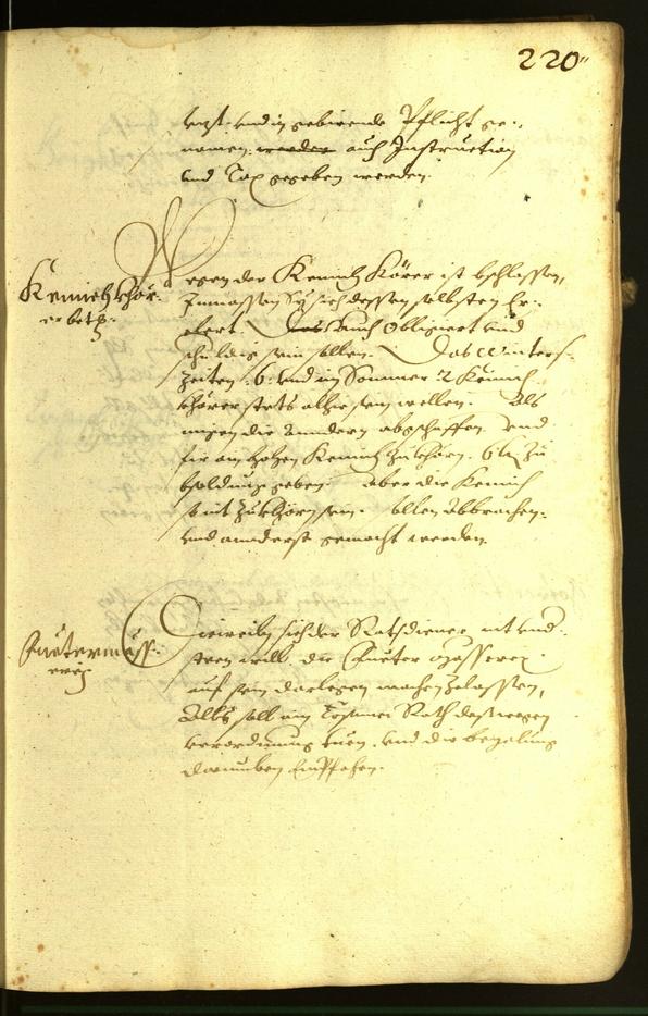 Civic Archives of Bozen-Bolzano - BOhisto Minutes of the council 1617 