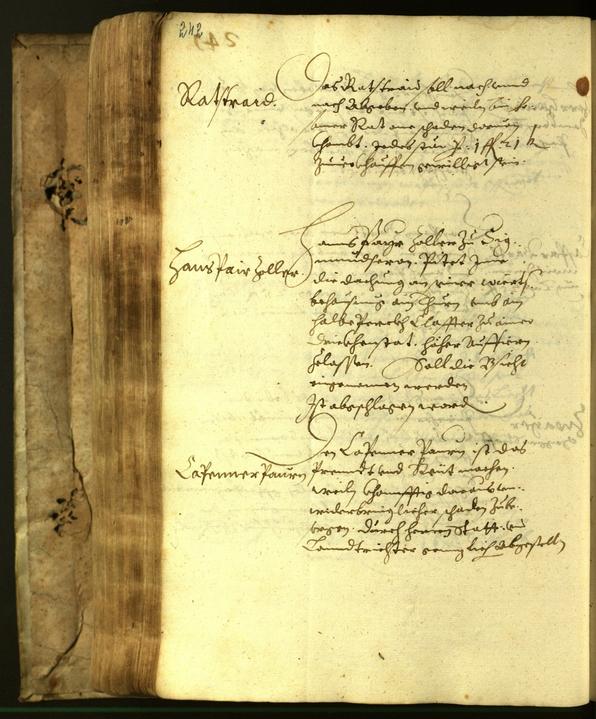 Stadtarchiv Bozen - BOhisto Ratsprotokoll 1617 