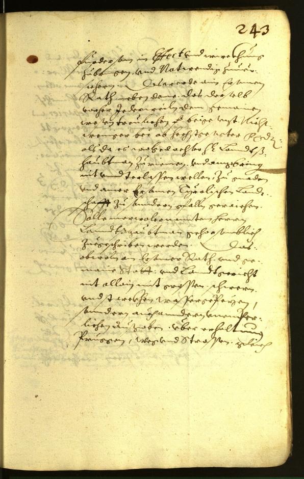 Civic Archives of Bozen-Bolzano - BOhisto Minutes of the council 1617 