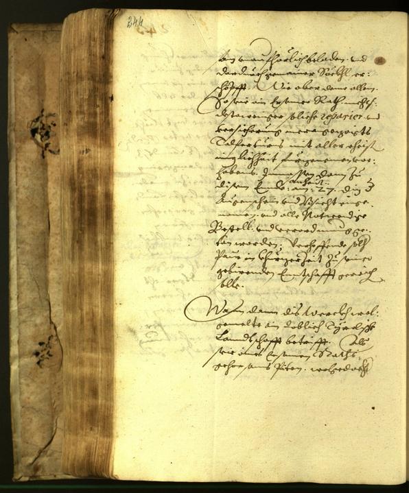 Civic Archives of Bozen-Bolzano - BOhisto Minutes of the council 1617 