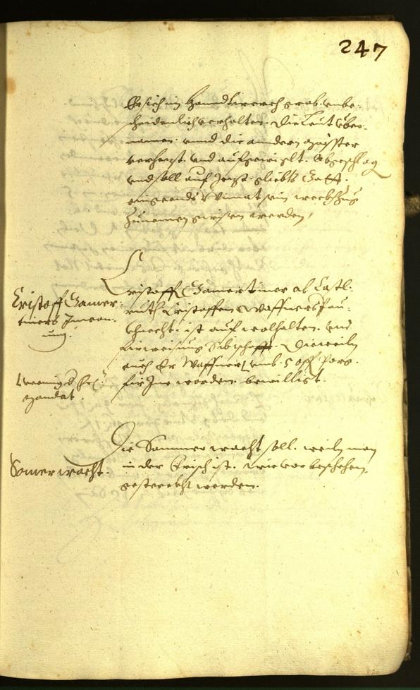 Civic Archives of Bozen-Bolzano - BOhisto Minutes of the council 1617 