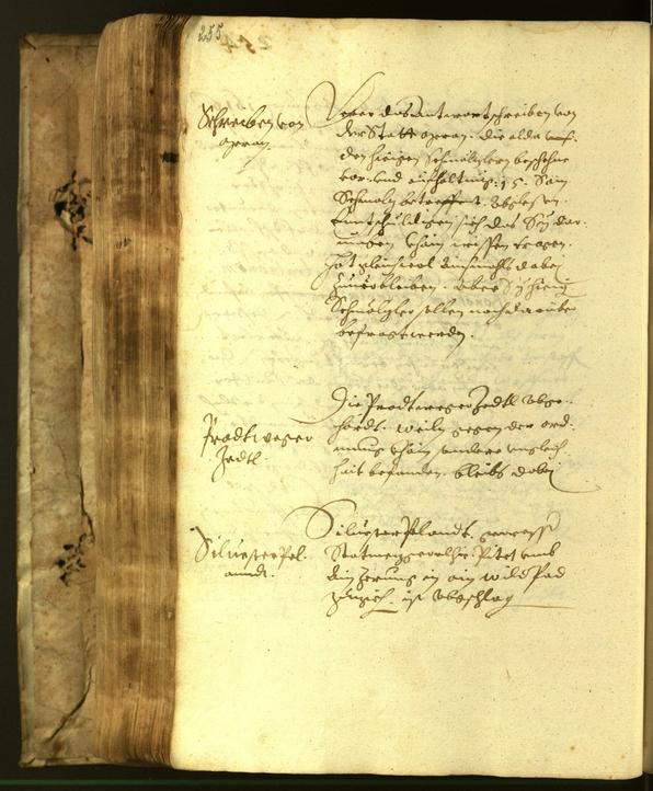 Civic Archives of Bozen-Bolzano - BOhisto Minutes of the council 1617 