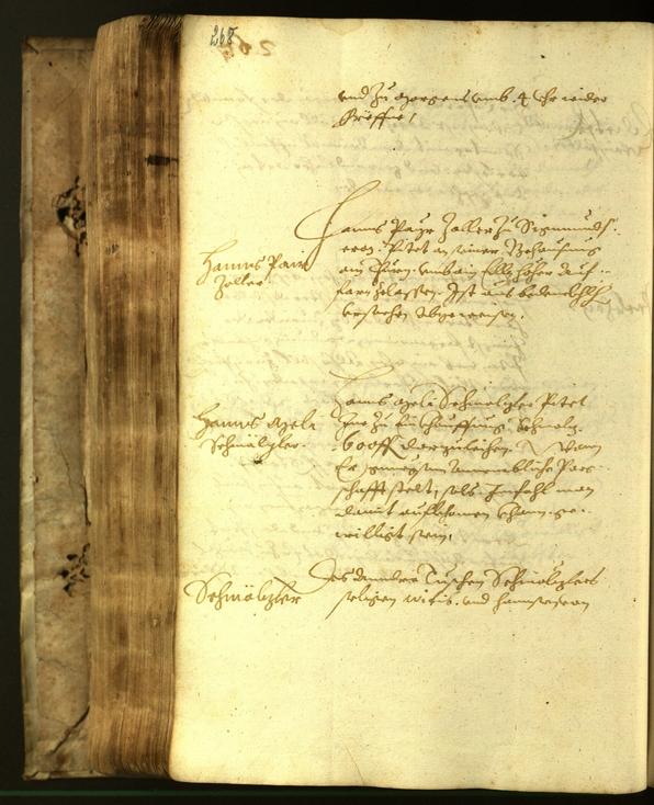 Stadtarchiv Bozen - BOhisto Ratsprotokoll 1617 