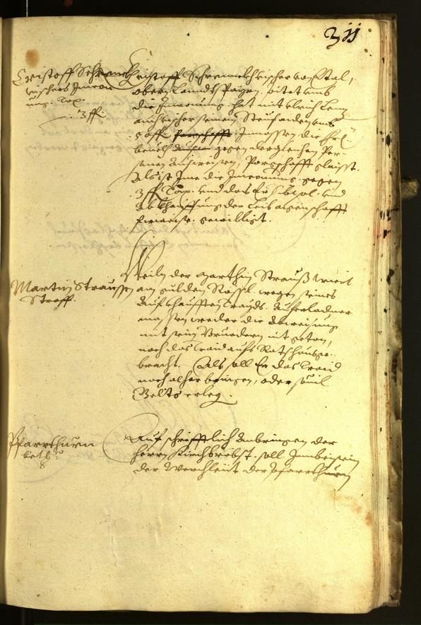 Civic Archives of Bozen-Bolzano - BOhisto Minutes of the council 1617 