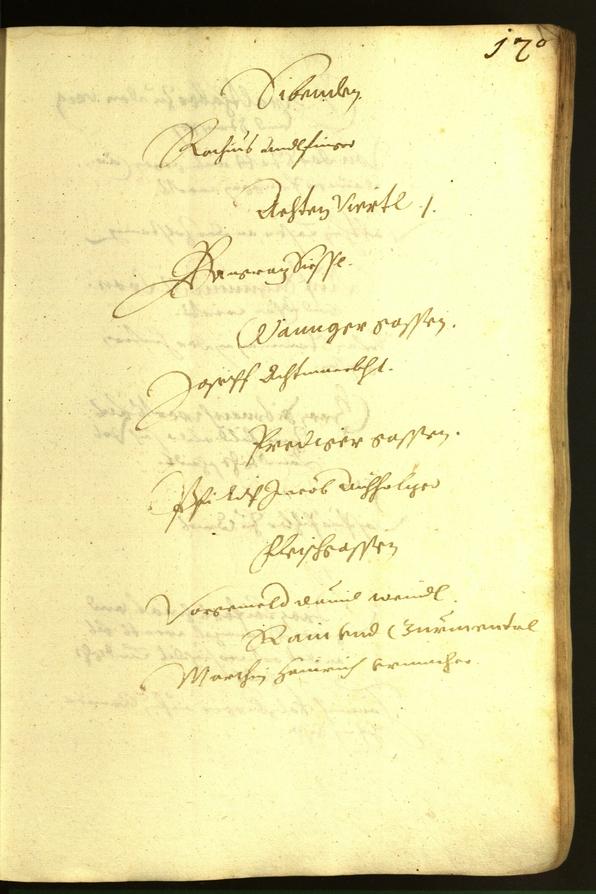 Civic Archives of Bozen-Bolzano - BOhisto Minutes of the council 1617 