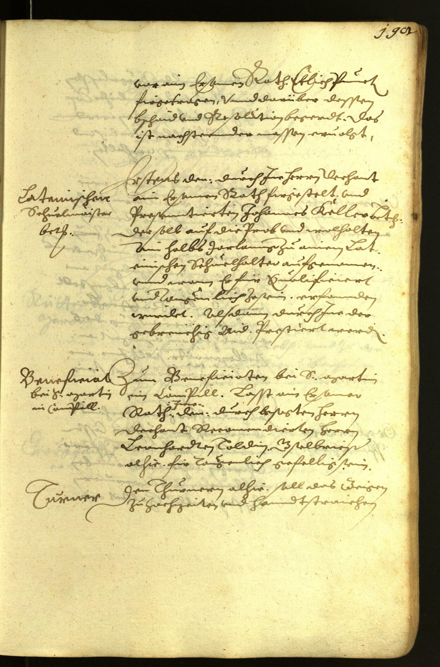 Civic Archives of Bozen-Bolzano - BOhisto Minutes of the council 1617 