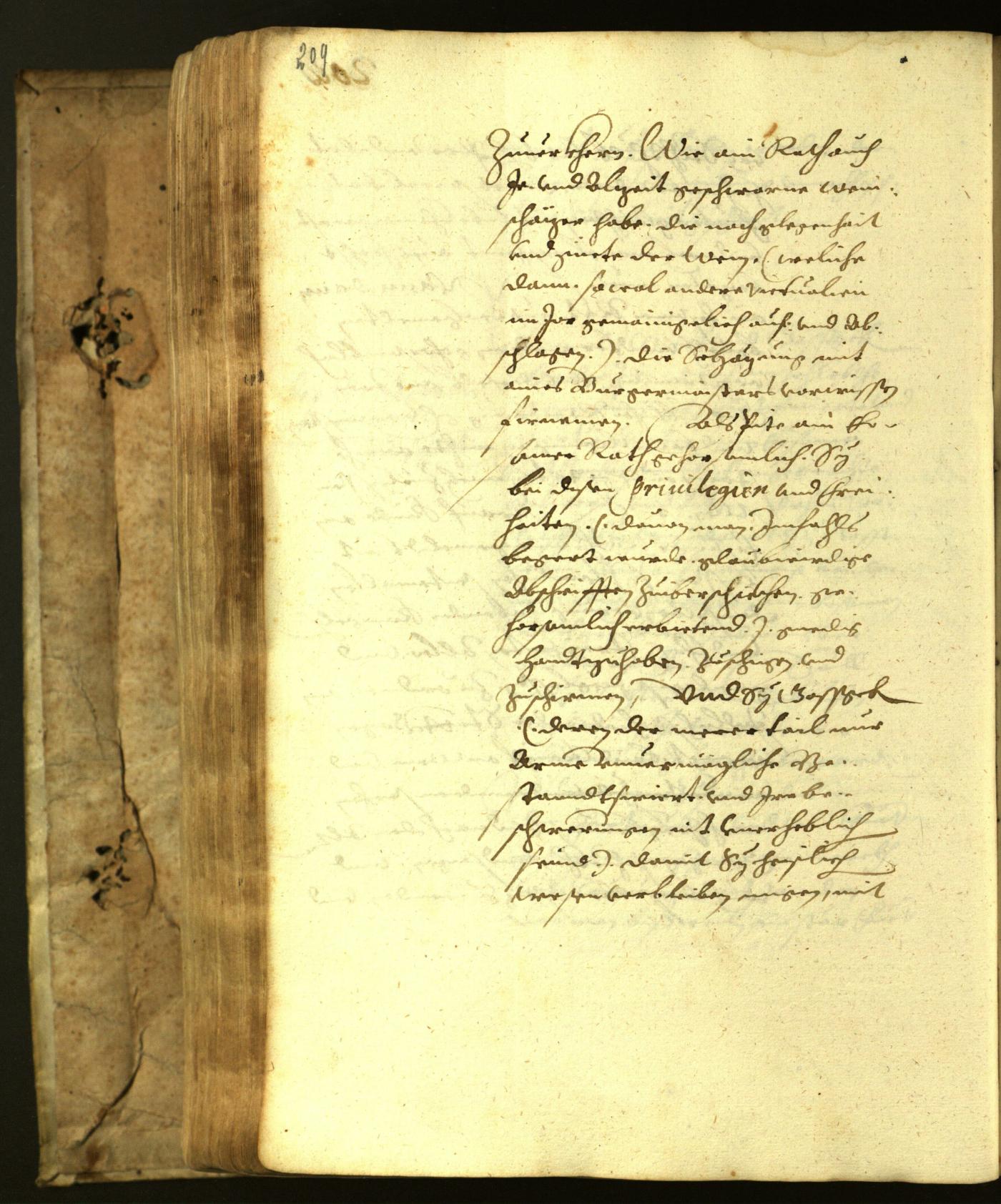 Archivio Storico della Città di Bolzano - BOhisto protocollo consiliare 1617 