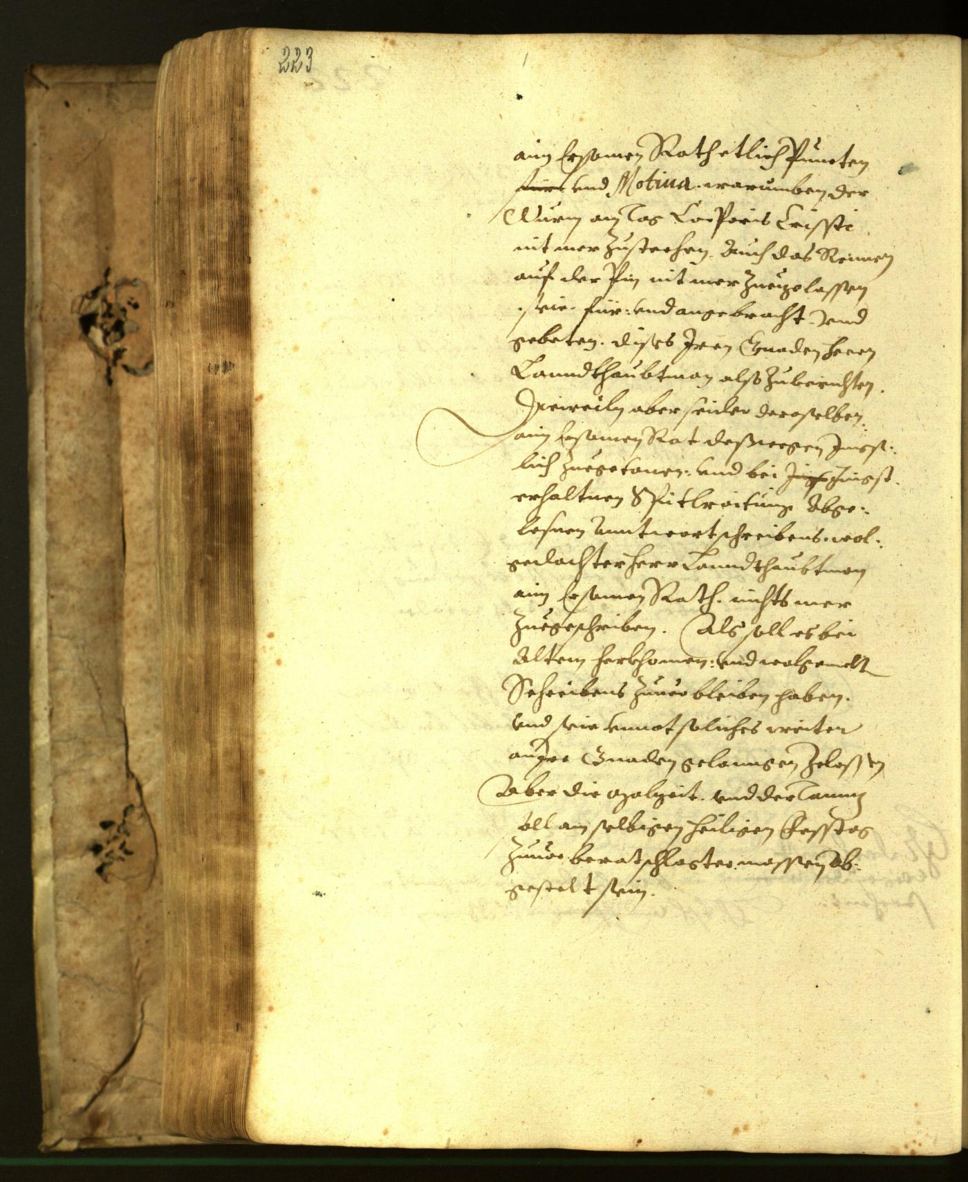 Civic Archives of Bozen-Bolzano - BOhisto Minutes of the council 1617 