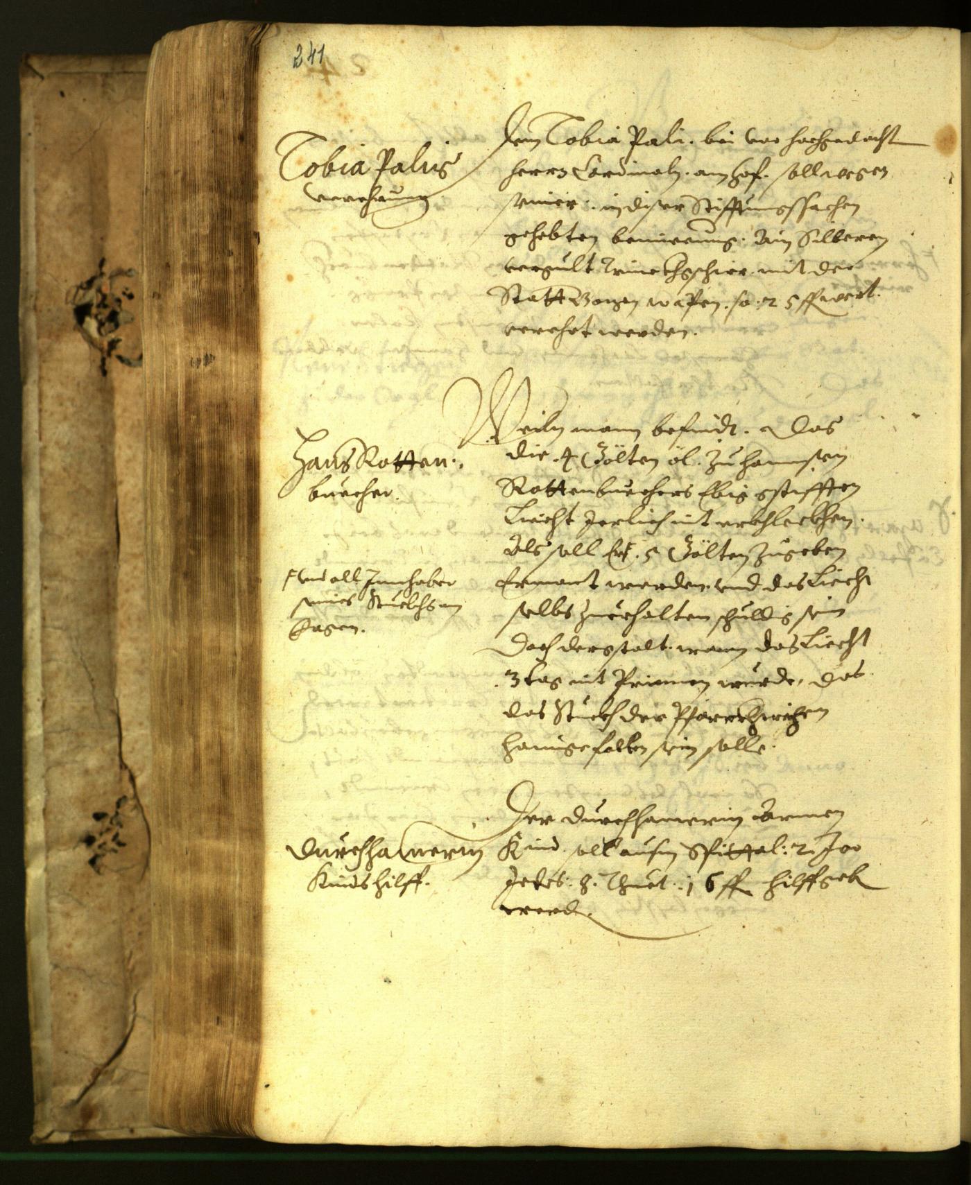 Civic Archives of Bozen-Bolzano - BOhisto Minutes of the council 1617 