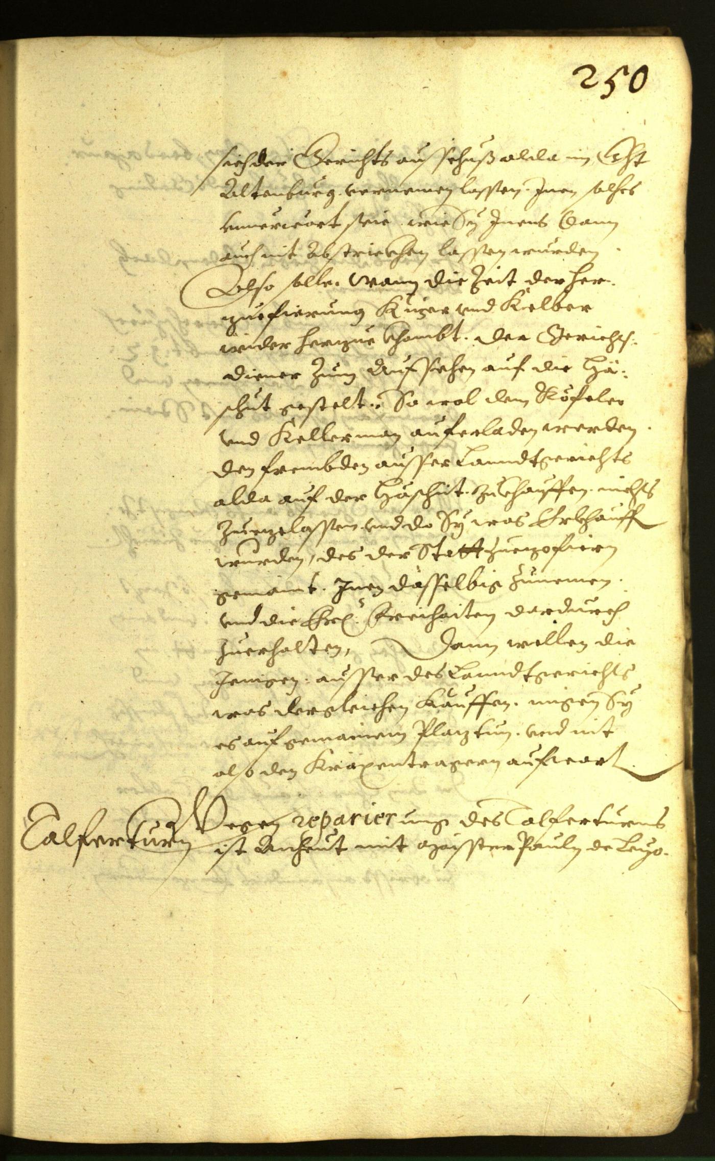 Stadtarchiv Bozen - BOhisto Ratsprotokoll 1617 