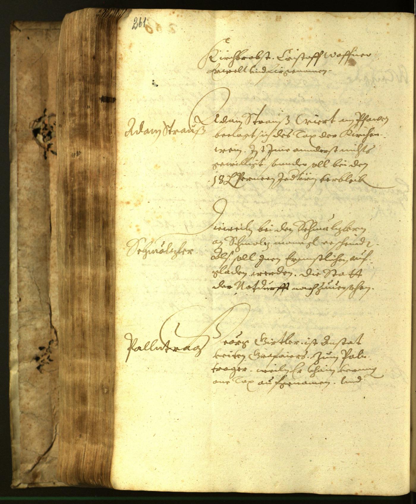 Civic Archives of Bozen-Bolzano - BOhisto Minutes of the council 1617 