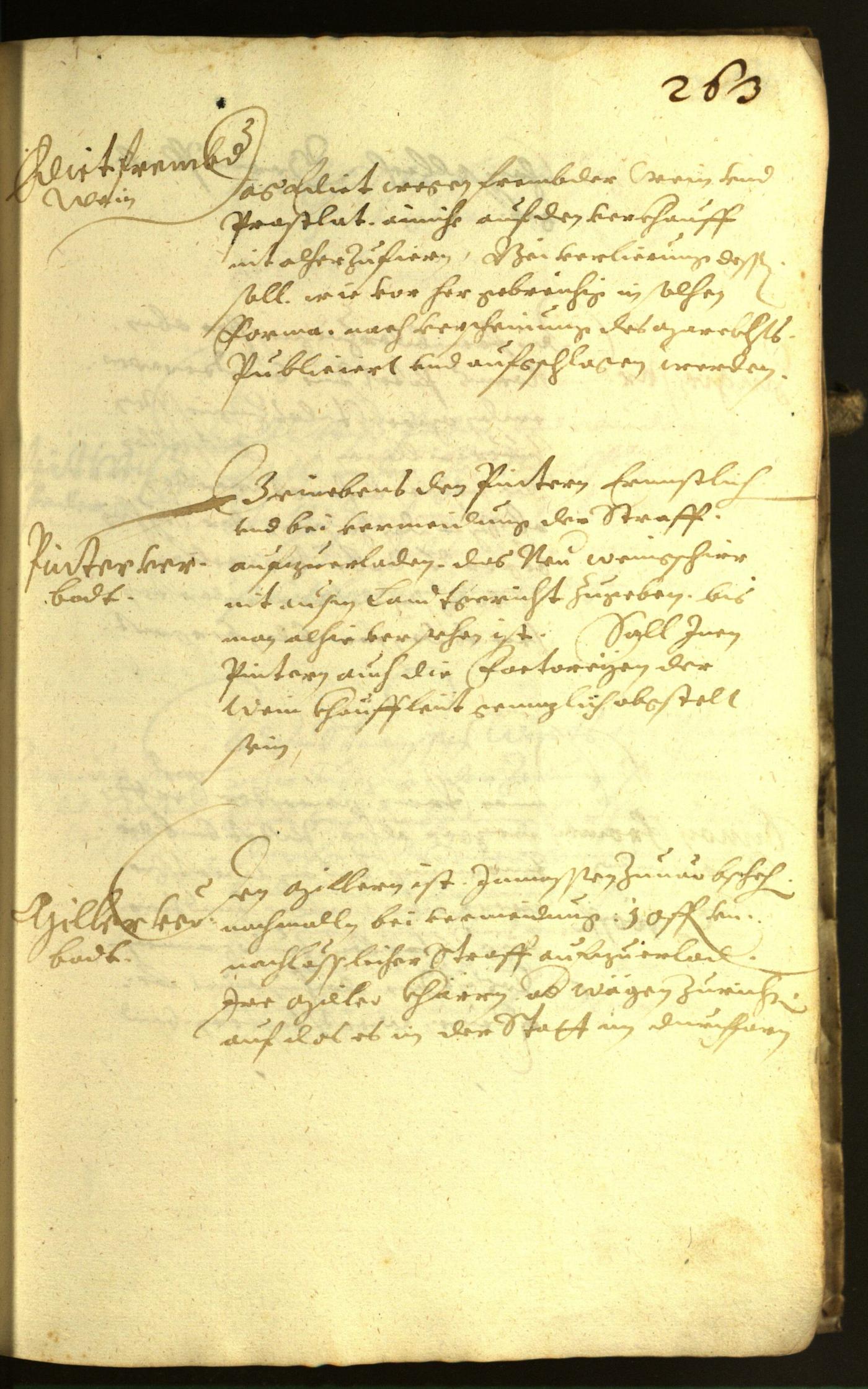 Civic Archives of Bozen-Bolzano - BOhisto Minutes of the council 1617 